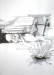 akos_images